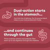 Digestive Enzyme